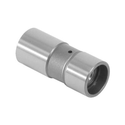 CRO66900